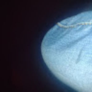 Meet your Posher, Fred